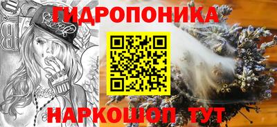 молекула духа Бийск