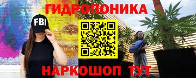 наркотики Гай