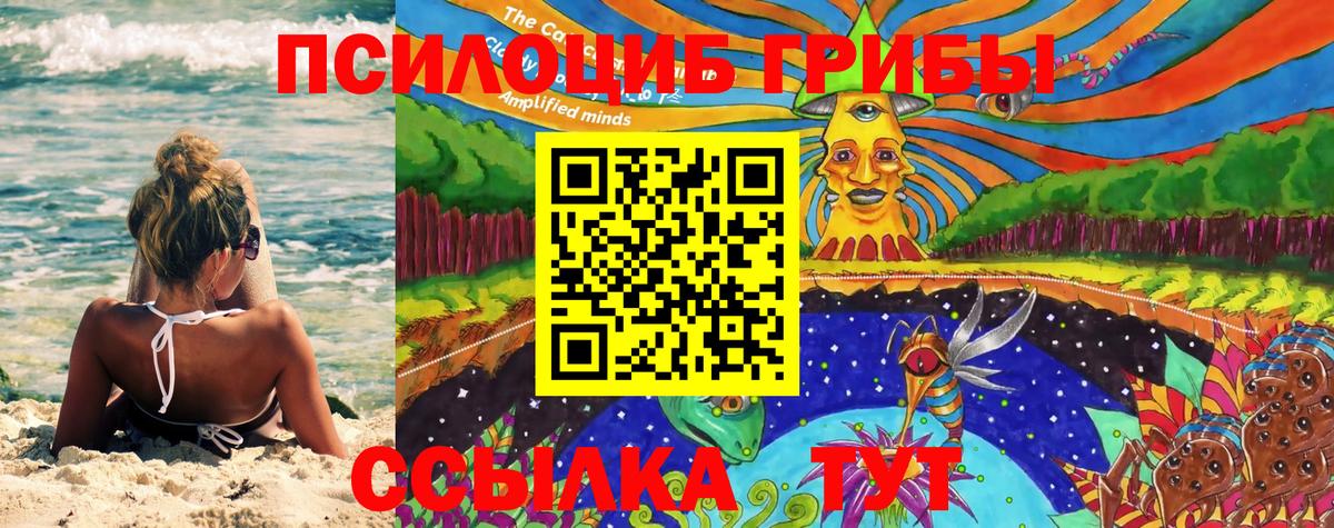 где найти   Тулун  Галлюциногенные грибы мухоморы 