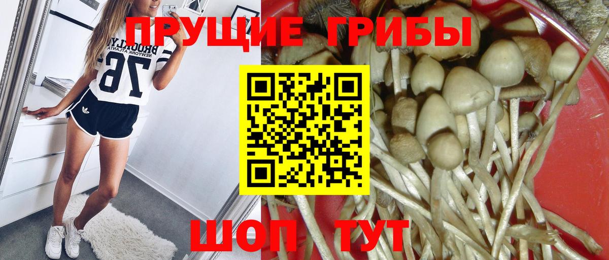 Тулун  цены наркотик  Вход с VPN  Псилоцибиновые грибы ЛСД 