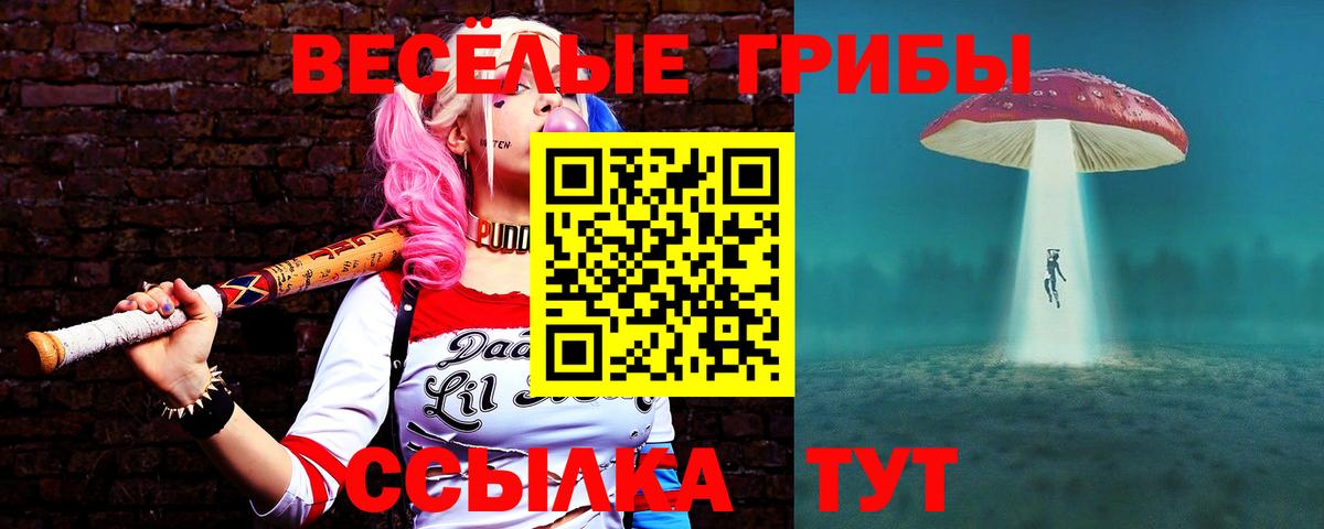 Псилоцибиновые грибы Psilocybe Тулун